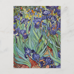 Van Gogh Schwertlilien Impressionistisches Gemälde Postkarte