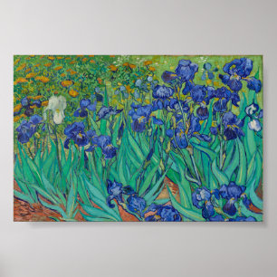 Van Gogh Schwertlilien Poster