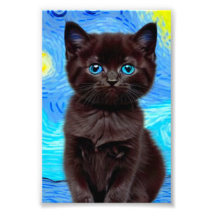 Van Gogh Starry Night Black Cat Fotodruck