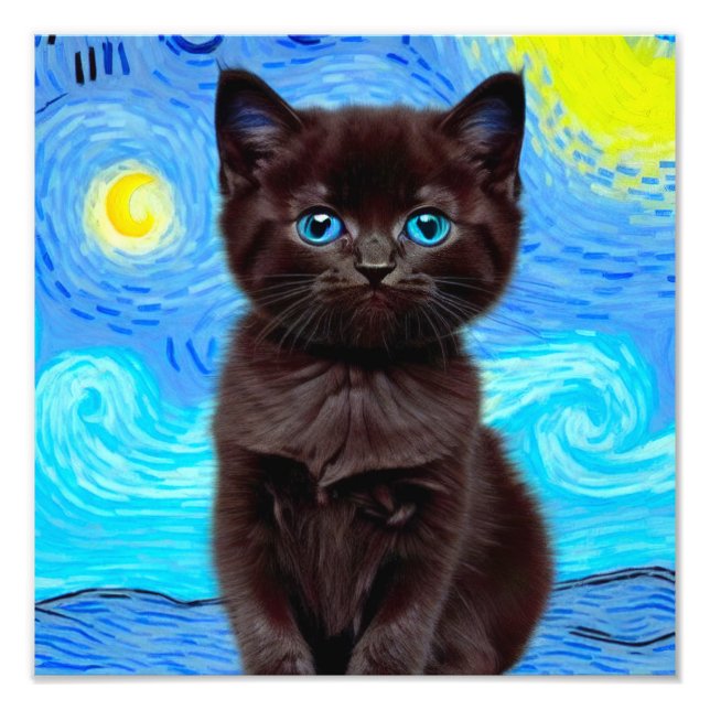Van Gogh Starry Night Black Cat Fotodruck (Vorne)