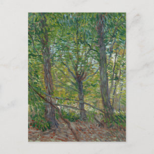 Van Gogh Trees and Underwood(F307) Fine Art Postkarte