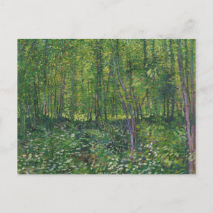 Van Gogh Trees und UnderGrowth Postkarte
