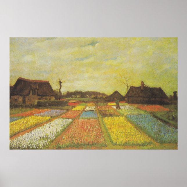 Van Gogh Tulip Fields Picture Print Poster (Vorne)