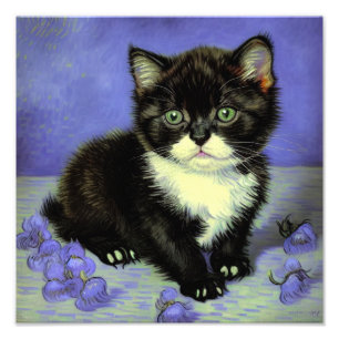 Van Gogh Tuxedo Kitten Fotodruck