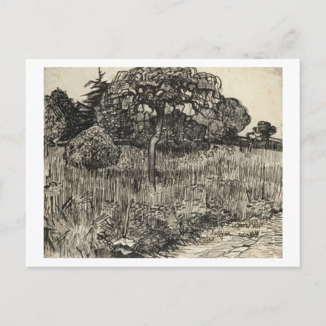 Van Gogh Weeping Tree auf dem Rasen Postkarte (Vorderseite)