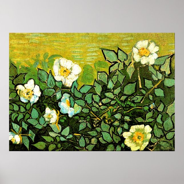 Van Gogh - Wilde Rose, Blumengemälde von Van Gogh Poster (Vorne)