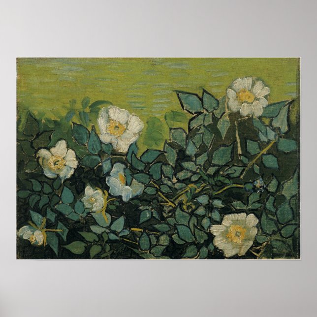 Van Gogh - Wilde Rose Poster (Vorne)