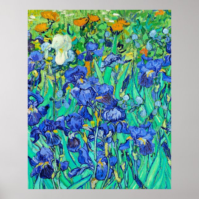 Van Goghs Schwertlilien  Poster (Vorne)