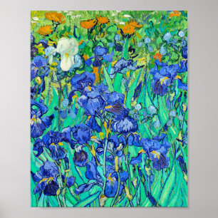 Van Goghs Schwertlilien Poster