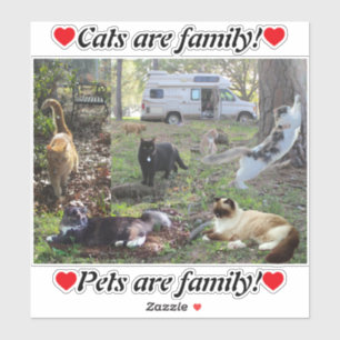 Van Life Cat Lady Die ganze Fam Damily Aufkleber