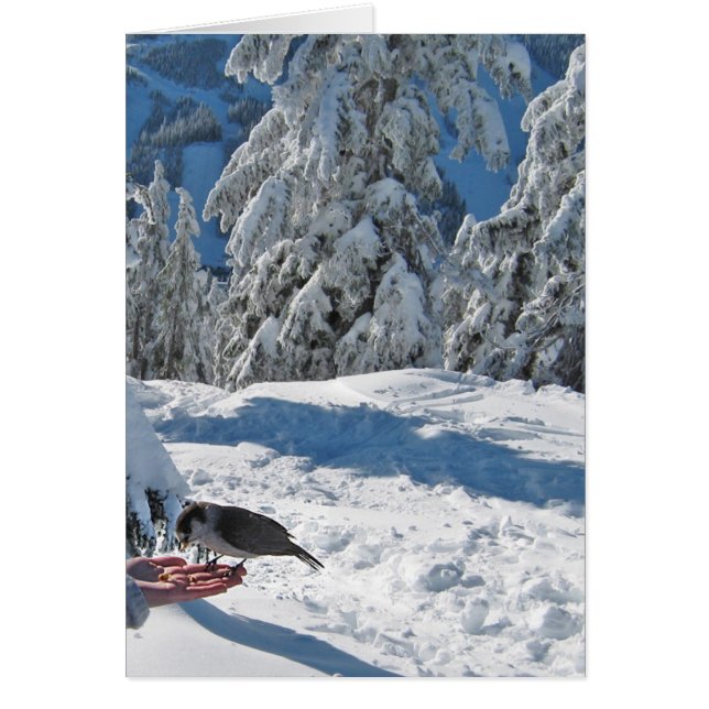 Vancouver BC Kanada-Karte (Vorne)