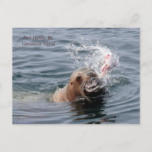 Vancouver Island Postcard Postkarte