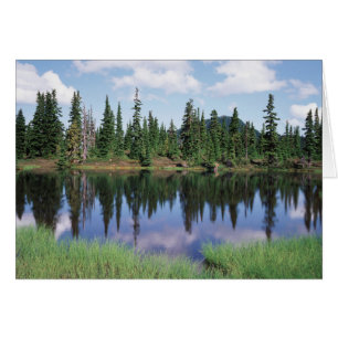 Vancouver Island, Provinzpark Strathcona 2