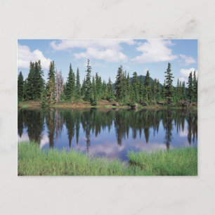 Vancouver Island, Provinzpark Strathcona 2 Postkarte