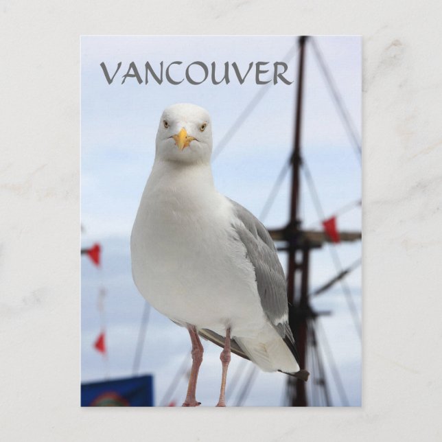 Vancouver, Seagull und Boat Postkarte (Vorderseite)