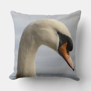 Vancouver, Stanley Park, Höcker-Schwan (Cygnus olo Kissen