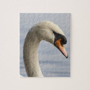 Vancouver, Stanley Park, Höcker-Schwan (Cygnus olo Puzzle