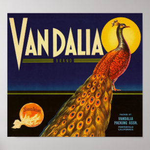 Vandalia Brand Orangen Porterville California Poster