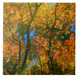 VanDusen Botanical Garden Vancouver, Kanada Fliese