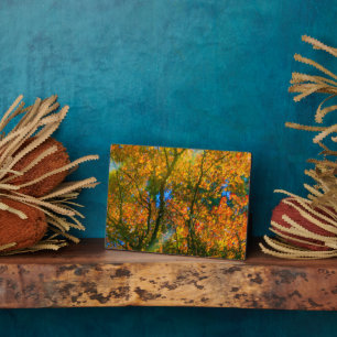 VanDusen Botanischer Garten Vancouver, Kanada Fotoplatte