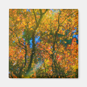 VanDusen Botanischer Garten Vancouver, Kanada Magnet
