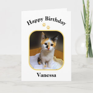 Vanessa Calico Kitten Happy Birthday Karte