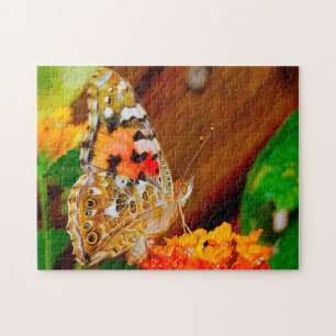 Vanessa Cardui Butterfly. Puzzle