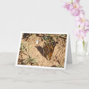 Vanessa cardui - Schmetterlingskarte für gemalte L Karte