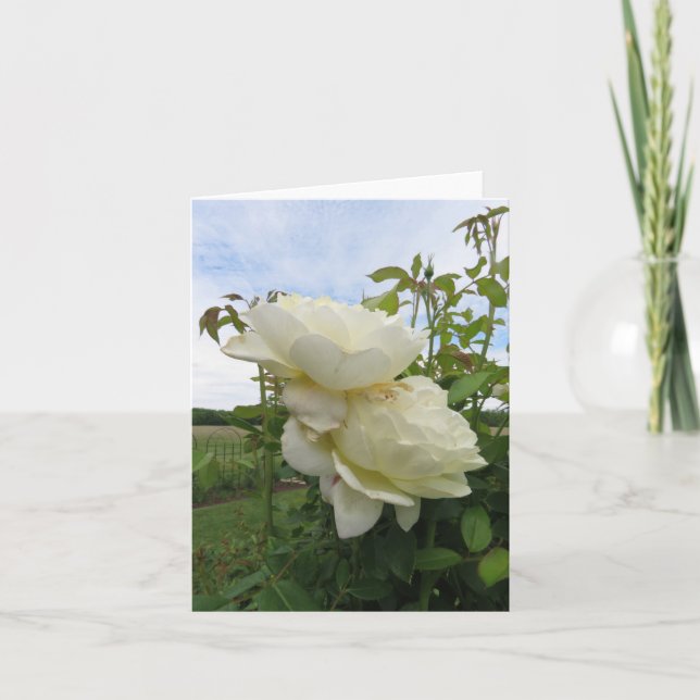 Vanessa Glockengelber Rose, Vertikal  Karte (Vorderseite)