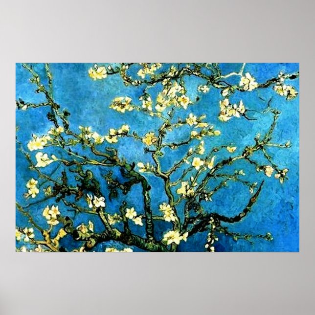 VanGogh Mandelbaum Blütenposter Poster (Vorne)