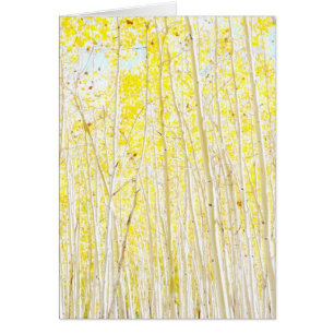 Vanilla Cake Aspen