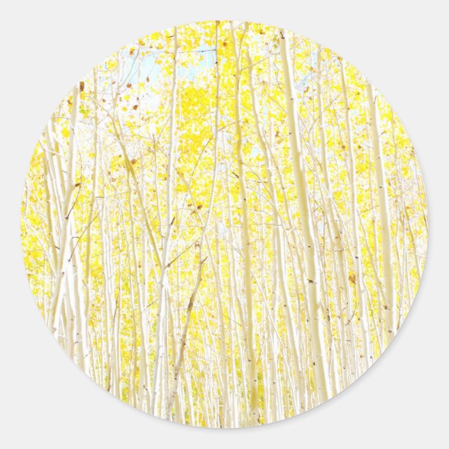 Vanilla Cake Aspen Runder Aufkleber (Vorderseite)
