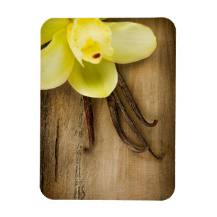 Vanilla Pods und Blume über Holzgelände Magnet