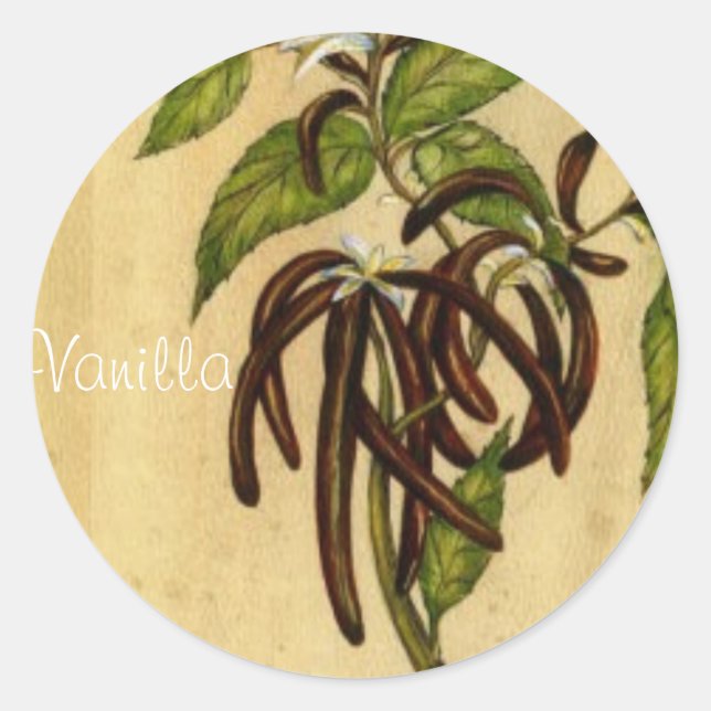 Vanille Runder Aufkleber (Vorderseite)