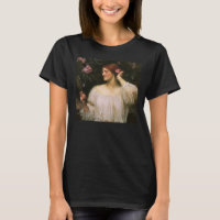 Vanity von John William Waterhouse