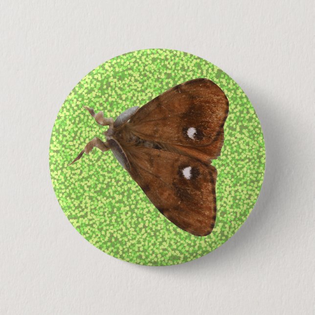 Vapourer Moth Button (Vorderseite)