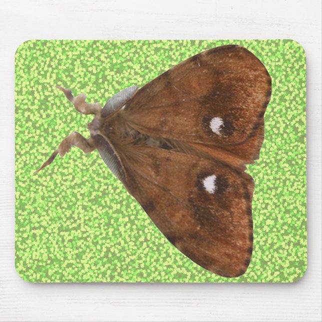 Vapourer Moth Mousepad (Vorne)