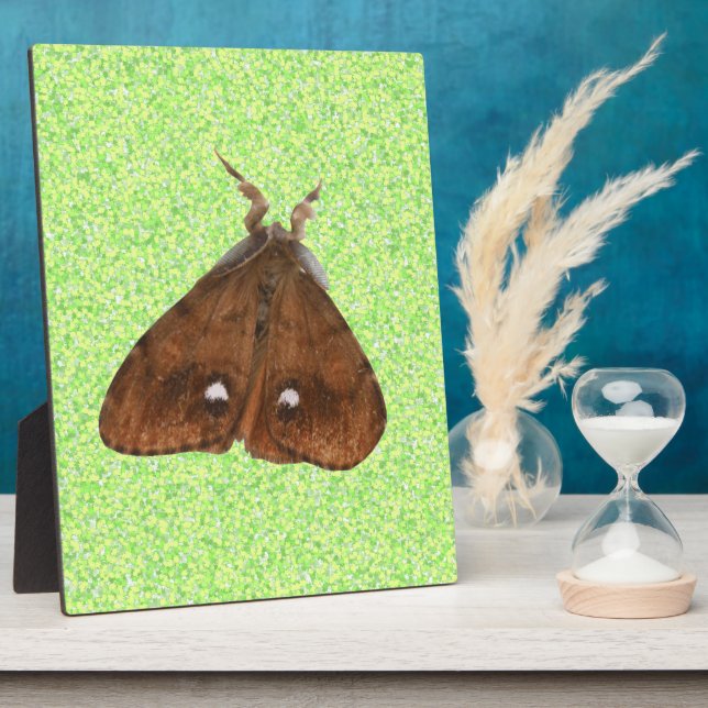 Vapourer Moth Plaque Fotoplatte (Seite)