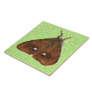 Vapourer Moth Tile Fliese