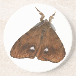 Vapourer Moth Untersetzer