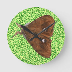 Vapourer Moth Wall Clock Runde Wanduhr
