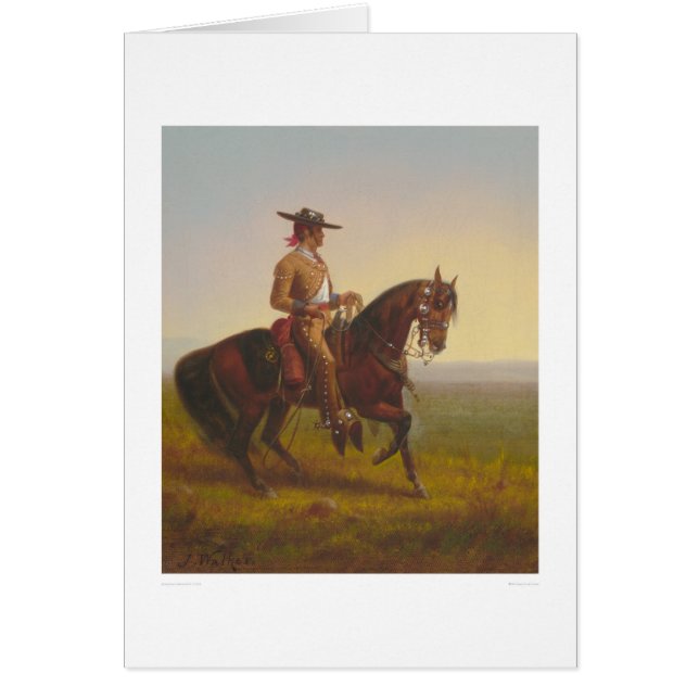 Vaquero (1164) (Vorne)