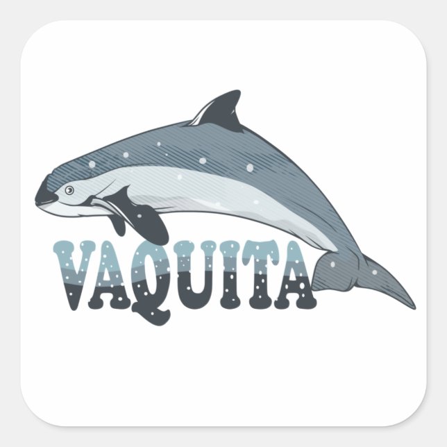 Vaquita Porpoise gefährdete Arten Quadratischer Aufkleber (Vorderseite)
