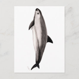 Vaquita Postkarte