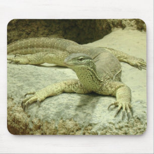 Varanus gouldii mousepad