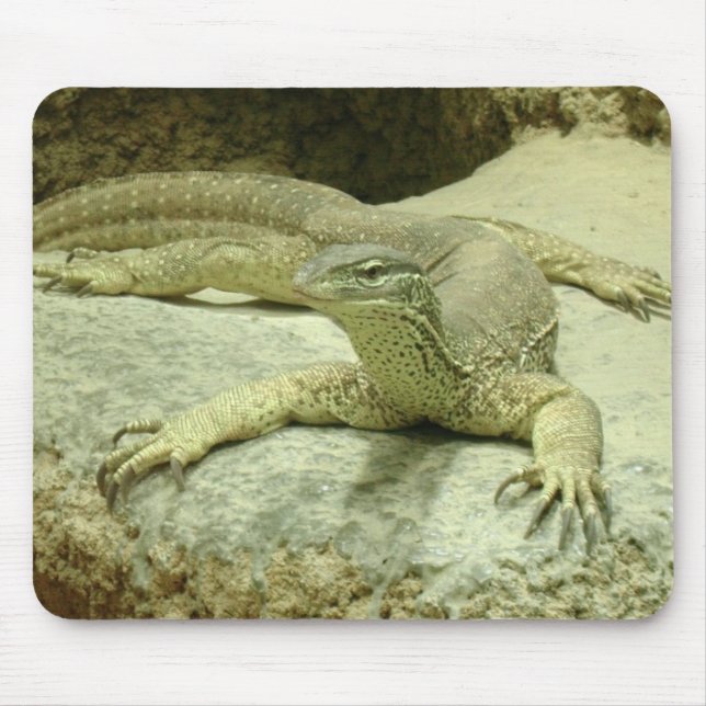 Varanus gouldii mousepad (Vorne)