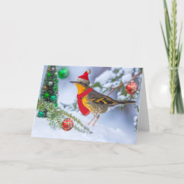 Variation Thrush Christmas Feiertagskarte