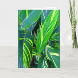 "Variegated Ginger" Karte