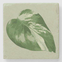 Variegated Monstera Leaf Coaster – Real Plant Art Steinuntersetzer