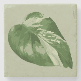 Variegated Monstera Leaf Coaster – Real Plant Art Steinuntersetzer